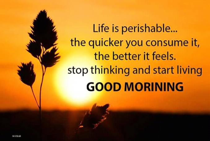 I will work all types of data entry and creat article and all type of data entry etc i make 2000 English word by amount of 5 dollar