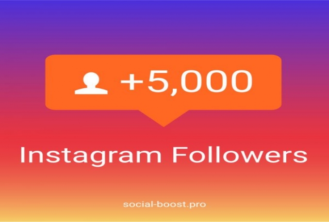 provide you 5000 Instagram followers 