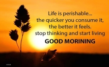 I will work all types of data entry and creat article and all type of data entry etc i make 2000 English word by amount of 5 dollar