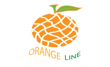 design professional and unique logo