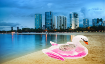 edit any type of photo by photoshop