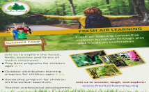 Design Professional Logos, Brochures, Flyers Or Leaflets for