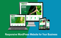 wordpress website for u.