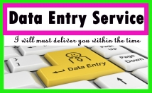provide any type of data entry services on Ms word,Excel,oracle,quick books etc