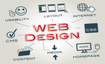 design website and develop for you 